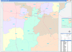 San Juan County, NM Wall Map Color Cast Style 2024
